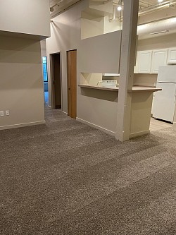 Carpet cleaning